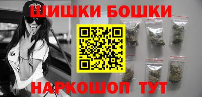 молекула духа Будённовск