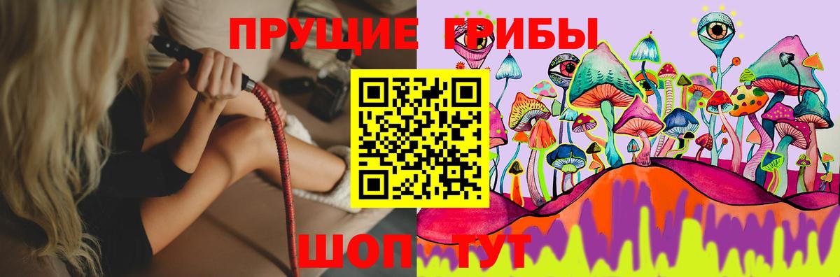Миллерово  Галлюциногенные грибы Psilocybe  Вход с VPN 
